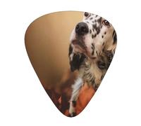 Setter Inglés Otoño Mascotas Cachorros Perros Inglés,12 púas de guitarra, 3 grosores diferentes para guitarra acústica, bajo y ukelele