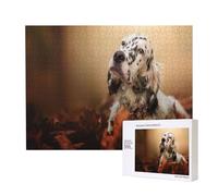 Setter Inglés Otoño Mascotas Cachorros Perros Inglés,Rompecabezas de Madera de 500 Piezas, Juego Familiar, Rompecabezas para Adultos, Adolescentes, decoración del hogar