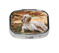 Setter Inglés Otoño Mascotas Perros Del Bosque Inglés, Pastillero cuadrado para bolsillo o monedero, pequeño contenedor de pastillas, organizador de pastillas de viaje