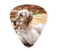 Setter Inglés Otoño Mascotas Perros Inglés,12 púas de guitarra, 3 grosores diferentes para guitarra acústica, bajo y ukelele