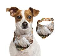 Setter Inglés Otoño Mascotas Perros Inglés,Pañuelos de algodón para Perros, Bufandas Ajustables para Mascotas,M