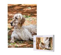 Setter Inglés Otoño Mascotas Perros Inglés,Rompecabezas de Madera de 1000 Piezas para Adultos y Adolescentes.