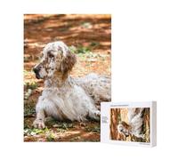 Setter Inglés Otoño Mascotas Perros Inglés,Rompecabezas de Madera de 300 Piezas para Adultos y Adolescentes.