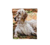 Setter Inglés Otoño Mascotas Perros Inglés, Squeeze Top Wallet Bolsa de Almacenamiento para Mujer Monedero pequeño Bolsa de Cambio