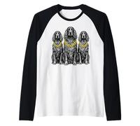 Setter irlandés Dog Rap Old School Retro Streetwear de los años 80 y 90 Camiseta Manga Raglan