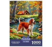 Setter irlandésJigsaw Puzzles for Adults 1000 Pieces Age 12+ for Adults FamilyPuzzle Game Beautiful Decoration for Women Gifts for Man38x26cm/1000pcs