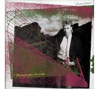 Setzer, Brian - The Knife Feels Like Justice