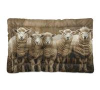 Sevdomey Sheep in The Countryside - Cama para mascotas, cama para perros, gatos, cama de caseta, colchón, lavable, suave, cómoda, con parte inferior antideslizante para perros pequeños, medianos y