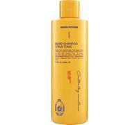 Seven Potions Champú para barba para hombres, lavado suave y limpiador para una barba limpia sin picazón en la barba, natural, vegano, libre de crueldad, tónico cítrico (250 ml)