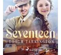 Seventeen (audiolibro)