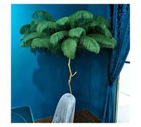 SEVEQIS Lámpara de plumas, Lámpara de pie plumas 1,7 m/1,2 m for sala estar, lámpara moderna con 3 colores regulables, Led, luz romántica for estar/dormitorio(H170cm,Green color)