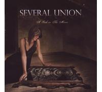 Several Union - A Look in the Mirror