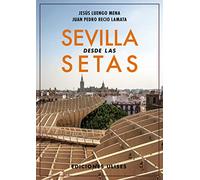 Sevilla desde las setas (TEMA LOCAL)