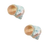 SEWACC 2 Piezas Natural Mediterranean Sea Conch Specimen Aquarium Tank Decor Unique Beach Shell For DIY Ocean-themed Desktop Craft And Nautical Centerpiece