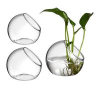 SEWACC 3 Jarrones Terrarios de Vidrio Transparente para Suculentas, Recipientes Hidropónicos Redondos de 8cm, 10cm y 12cm, Macetas para Plantas Aéreas, Decoración para Jardín y