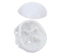 SEWACC Figura de Cráneo Humano Desmontable de Pvc Blanco Realista para Estudio Anatómico, Portátil y Ligero Adecuado para Estudiantes y Laboratorios de Biología