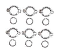 SEWOART 6 Piezas Anillas para Patas de Pájaros Inoxidable para Entrenamiento de Apertura Fácil Accesorios para Aves y Complementos para Anillos Tobilleros