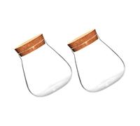 SEWOART Jarrón Decorativo de Vidrio Tapón de Corcho para Plantas Suculentas, Botella Ecológica Fondo Grueso y Diseño de Superficie Lisa para Comedor o Hotel, Pack de 2