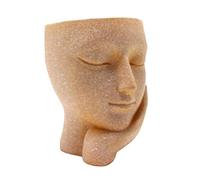 SEWOART Maceta Decorativa De Resina Cara Humana para Interiores y Exteriores, Maceta Moderna para Suculentas y Cactus, Diseño Artístico para Escritorio y Jardín, Contenedor Único para Plantar