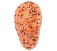 SEWOART Oreja para Acupuntura Zonas Reflejadas, Herramienta de Enseñanza Práctica para Reflexología Auricular y Formación en Medicina Tradicional China