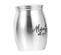 SEWOART Urna para Mascotas De Acero Inoxidable Urna De Recuerdo para Cenizas De Perro Contenedor para Cenizas De Huesos De Mascota para Entierro De Gatos Casa