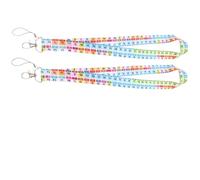 Sewroro Cordones Educativos para Teléfono Cordón Antipérdida Diseño de Tabla Periódica Multifuncional para Profesores Uso Color Diverso 2 Piezas