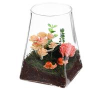 Sewroro Terrario de Cristal sin Tapa 10X15 CM para Musgo y Plantas Recipiente de Vidrio Transparente Base Cuadrada y Parte Superior Redonda Decoración Interior para Jardín y Hogar