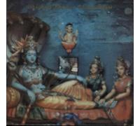 SEX GANG CHILDREN - Song And Legend