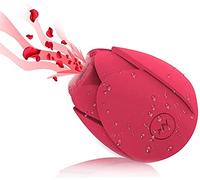 Sex Pleasure Toy for Women Women Suction Modes Rose Roses Anniversary Birthday Gifts for Women -USB Charging-Skin-Friendly【Arrive in 3-6 Days）