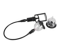 - Sexo y sensualidad