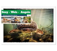 Sexy - Wels - Angeln (Wandkalender 2027 DIN A3 quer), CALVENDO Monatskalender: Der Kalender verbindet die sinnliche Spannung des Moments mit der Faszination großer Fänge.