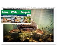 Sexy - Wels - Angeln (Wandkalender 2027 DIN A4 quer), CALVENDO Monatskalender: Der Kalender verbindet die sinnliche Spannung des Moments mit der Faszination großer Fänge.