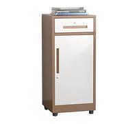 SFANIIX Archivador con Cerradura, 1 cajón y 1 Puerta, archivador Vertical for Oficina en casa(B)