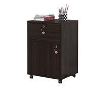 SFANIIX Archivador Lateral de Madera móvil de Suelo a Techo, Armario de información de bajo Almacenamiento con cajón con Cerradura.(A3)