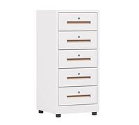 SFANIIX Archivador Vertical de 5 cajones for Oficina en casa, Organizador de Archivos metálico con Cerradura(White)