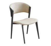 SFANIIX Silla de Escritorio Silla de Comedor Ligera Lujo for el hogar, Silla Sencilla Acero al Carbono con Respaldo for Restaurante, negociación
