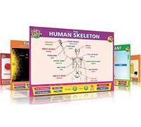 Sg Educación DD sc-i-s57 Daydream ciencia Software, secundaria Site Licence