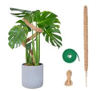 SGERUFZ 1 Pcs Tutor de Plantas Estaca de Fibra de Coco de 70cm Soporte Plegable para Plantas Ideal para Monstera y Plantas Trepadoras Incluye accesorios de cuerda