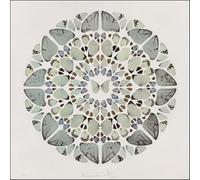 SGFGAD FHYWQ Póster abstracto de Damien Hirst Cuadro de pared de pared 《Butterfly Symmetry》por Damien Hirst Vision Color Lienzo Pintura para Decoración del Hogar 40x40cm Sin enmarcar