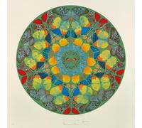 SGFGAD FHYWQ Póster abstracto de Damien Hirst Cuadro de pared de pared 《Butterfly Symmetry》por Damien Hirst Vision Color Lienzo Pintura para Decoración del Hogar 40x40cm Sin enmarcar