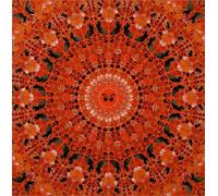 SGFGAD FHYWQ Póster abstracto de Damien Hirst Cuadro de pared de pared 《Red Butterflies-Devil》por Damien Hirst Impresión de Visión Pintura de Lienzo para Decoración del Hogar 50x50cm Sin enmarcar