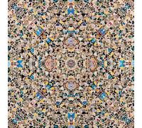 SGFGAD FHYWQ Póster abstracto de Damien Hirst Imagen de pared de pared 《Butterflies Symmetry》 por Damien Hirst Vision Canvas Painting For Home Decor 50x50cm Sin enmarcar