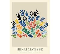 SGFGAD FHYWQ Póster de Henri Matisse Plantas a Color Pintura abstracta de lienzo《Los recortes》De Henri Matisse Colección de Grabados para Decoración del Hogar 30x40cm Sin enmarcar