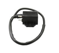 SGHFUVE Conjunto De Encendido CID Bobina De Encendido 33410-41D20 para Suzuki, para King, para Quad, para Eiger 400, 2x4, 4x4