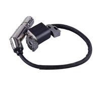 SGHFUVE Conjunto De Encendido CID para 21A807 21A902 21A907 21A977 21B707 Motor 595304 795315 799650 592841 Bobina De Encendido