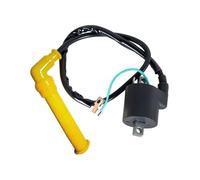 SGHFUVE Conjunto De Encendido CID para Rincón 650 para TRX650 2003 2004 2005 Tapa De Bujía De Bobina De Encendido 30700-HN8-003