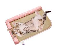 Sghtil Colchón Refrescante para Perros | Cama para Perro Transpirable, Colchón Anti-Sald para Gato Cómodo en Interior Y Exterior por Tiempo Cálido