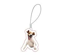 Sghtil Dulce para teléfono móvil | Emoticon cordón para teléfono móvil con mosquetón | Divertido gato perro emoticon llavero llavero para mochila bolsa, Cachorro sonriente, Siehe Beschreibung