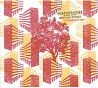 Shabani and the Burnin Birds - A Tree in a City