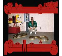 Shabazz Palaces - Robbed In Rareness